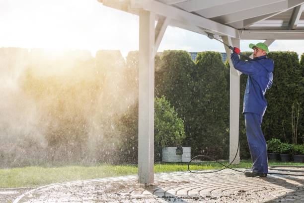 Trusted Jackson, TN Pressure Washing Services Experts