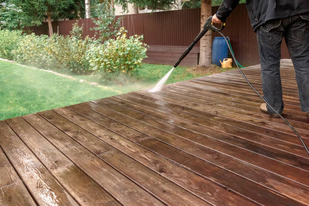 Animal Enclosure Cleaning in Jackson, TN